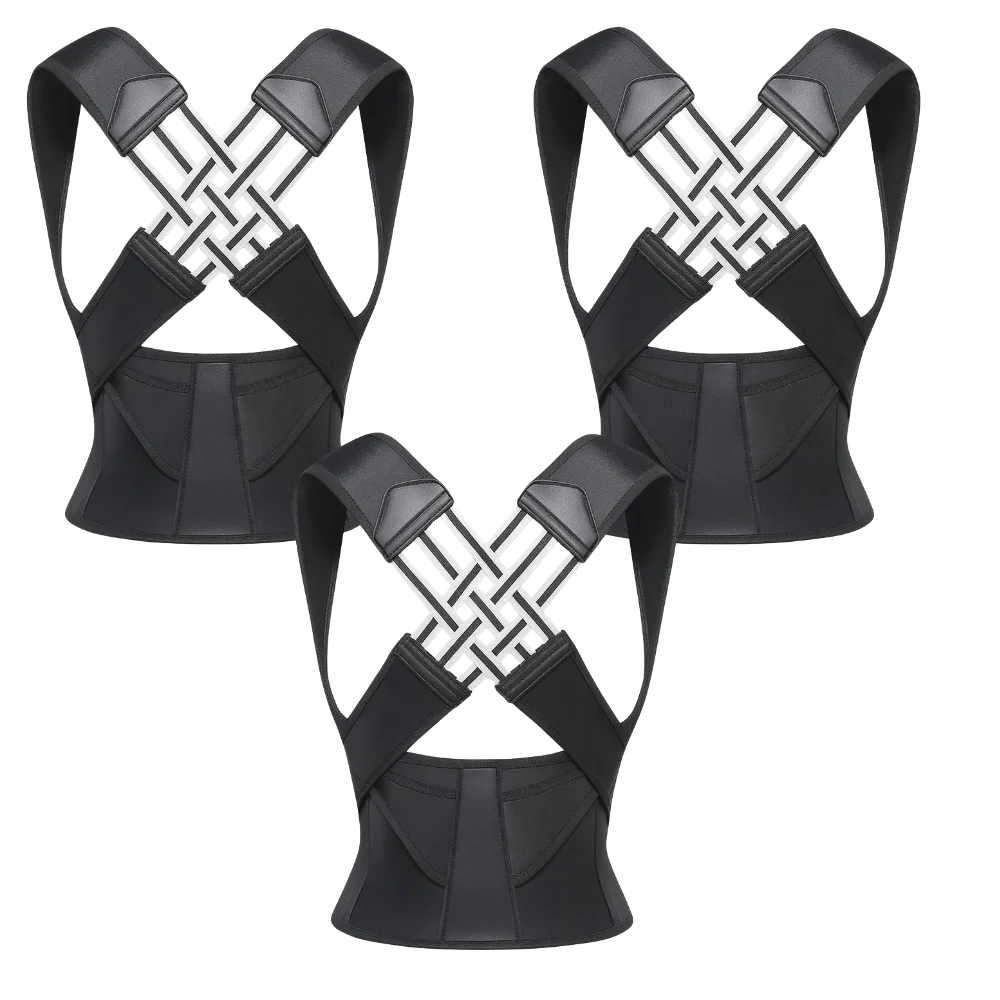 3x Back Support
