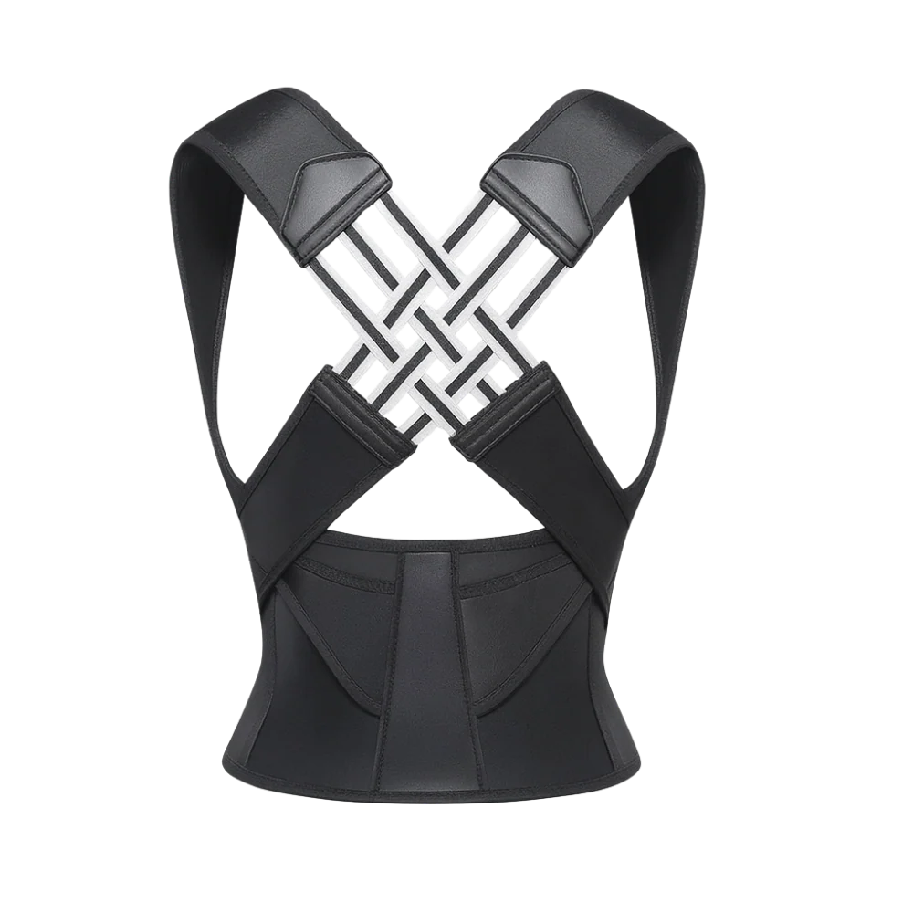 1x Back Support